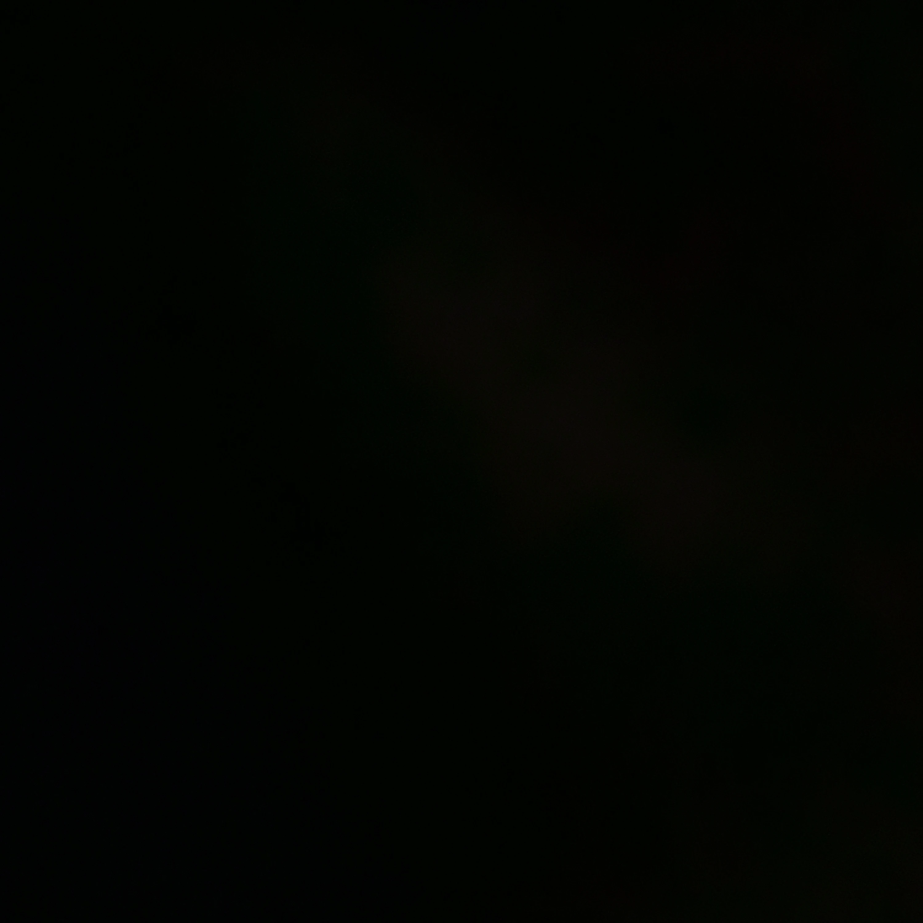토이보니
