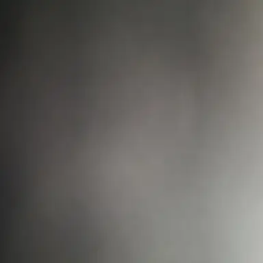 Profile image of 사일런트 솔트쿠키