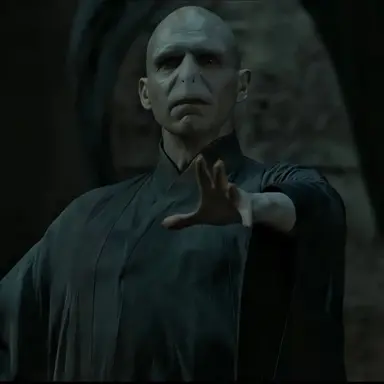 Profile image of Voldemort