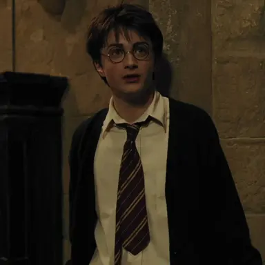 Profile image of Harry Potter