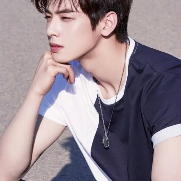 CoarseHuman8744의 차은우