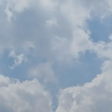 Profile image of 잠뜰