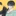 안지호