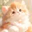 복숭이