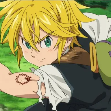 Profile image of メリオダス