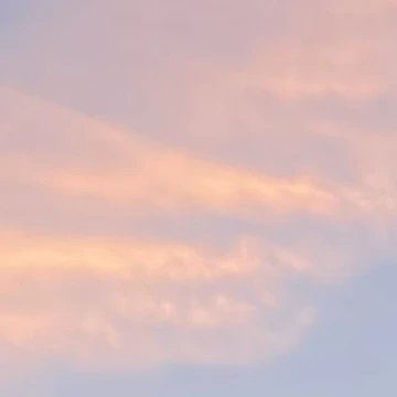 異世界の一家