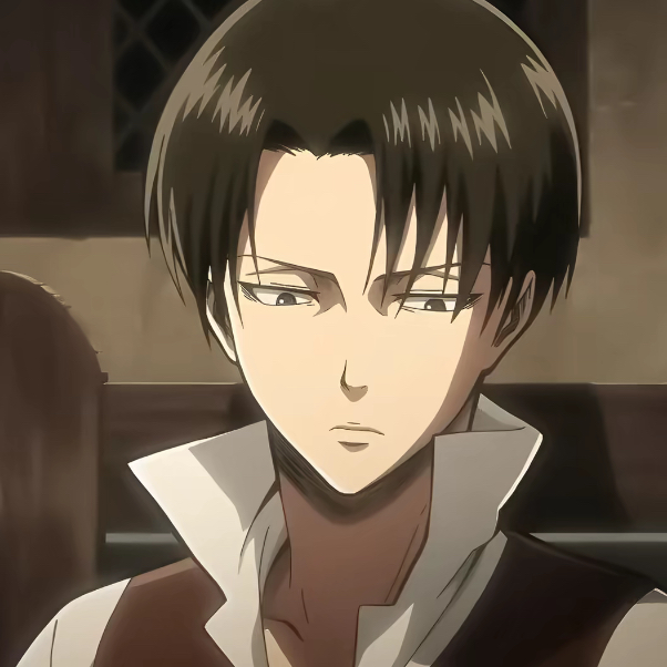 리바이 아커만 대표 이미지