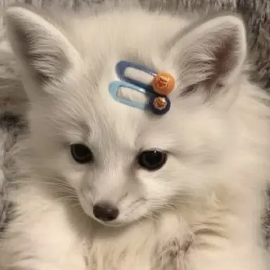Profile image of 설