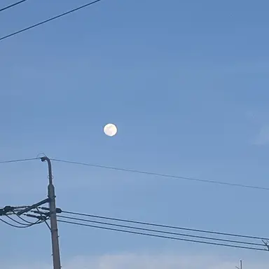 Profile image of 고고프렌즈