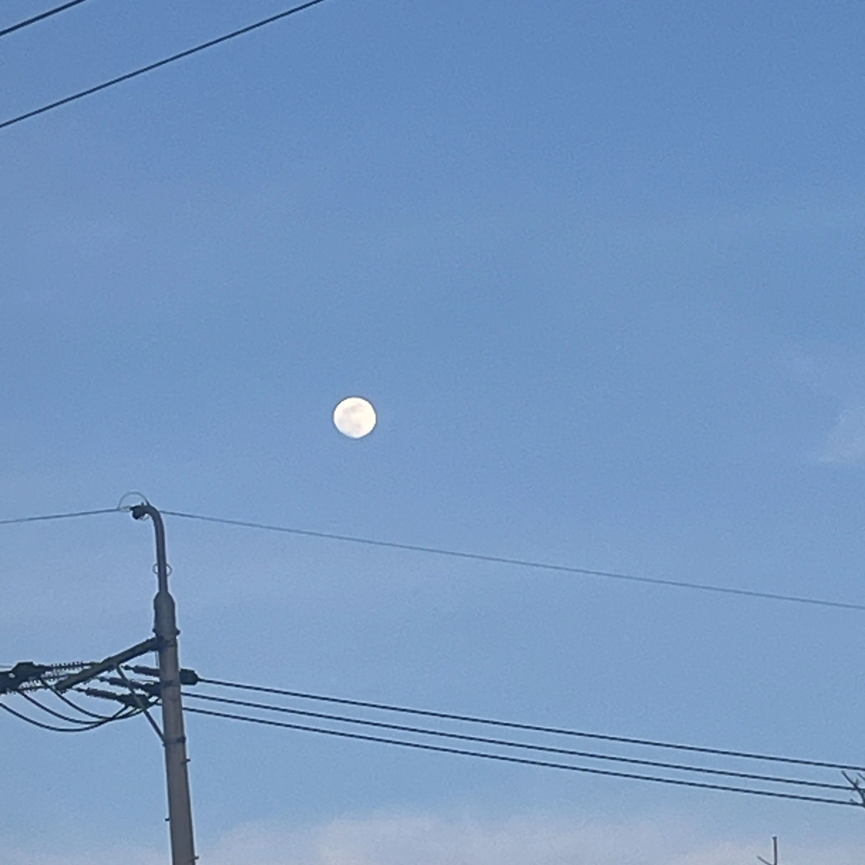 WellMouth6086의 전학을 왔는데 학폭을했다고 소문이..