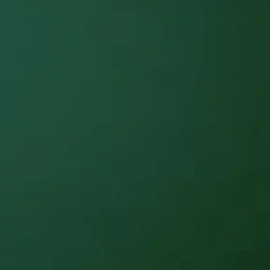 Profile image of 이마이 류