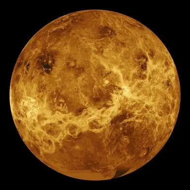 Profile image of 금성