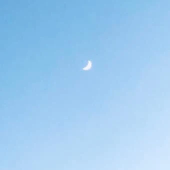 남녀무리