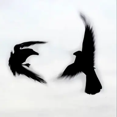 Profile image of キム・ソルム