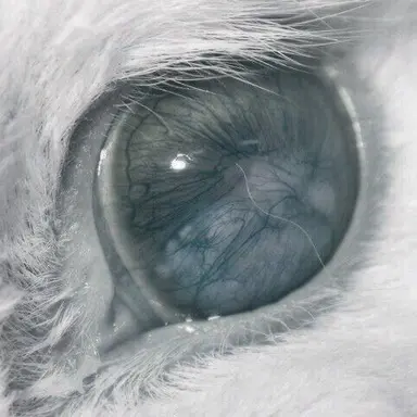 Profile image of 신수