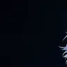 Profile image of 選定者狩り