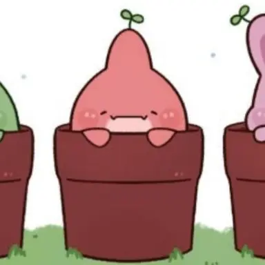 Profile image of 서라더