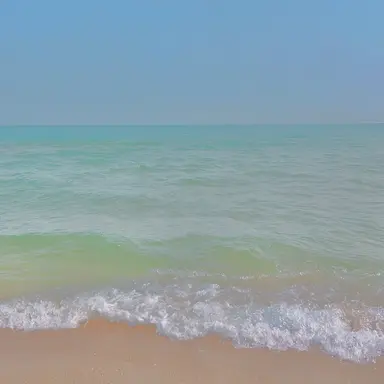 Profile image of 연이