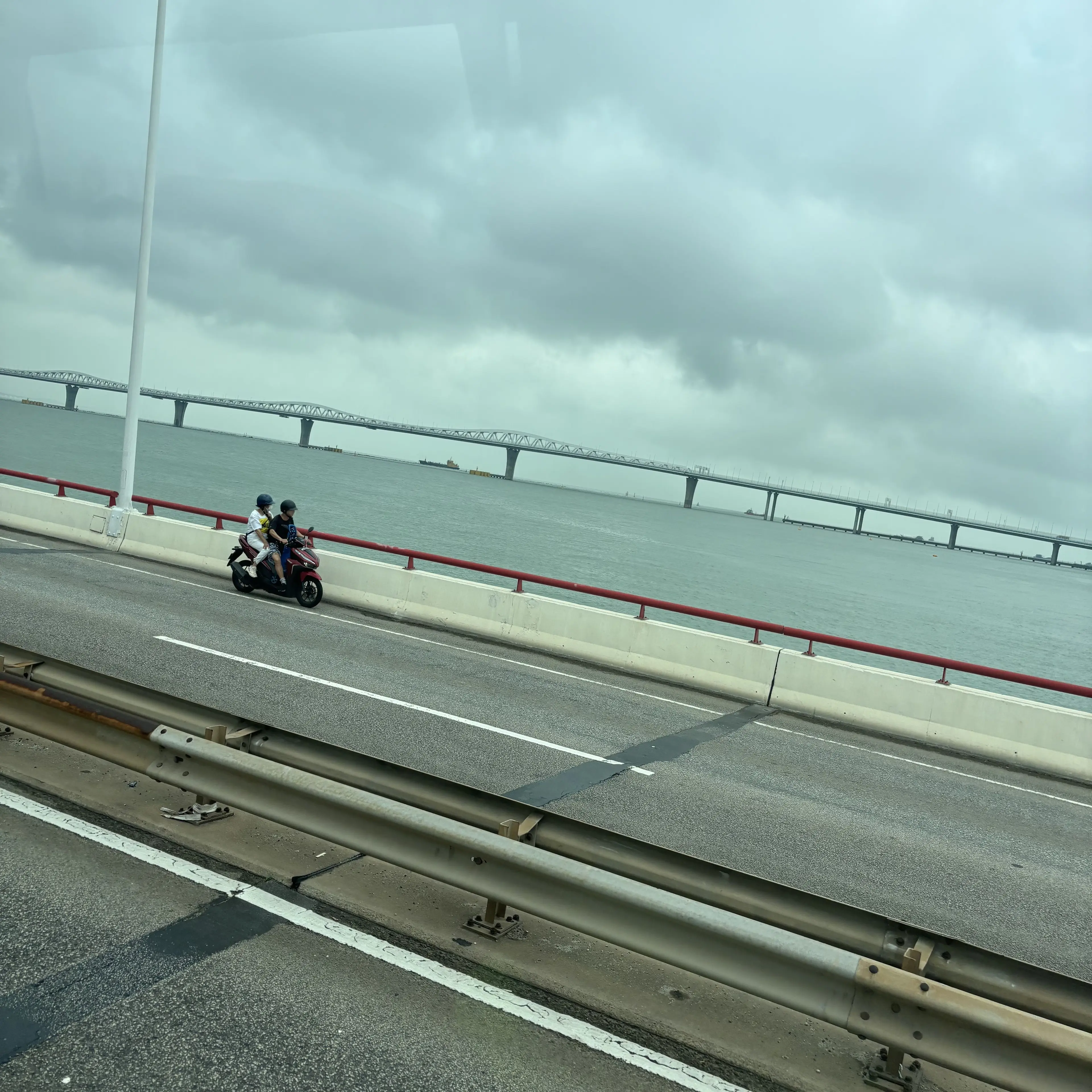 TamestPumi7124의 불사조 기사단