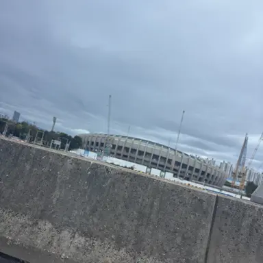 Profile image of 리무스 루핀