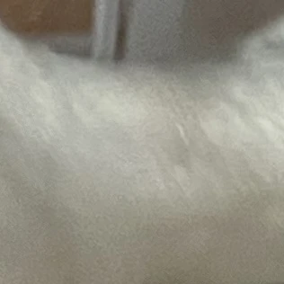 가족상황극