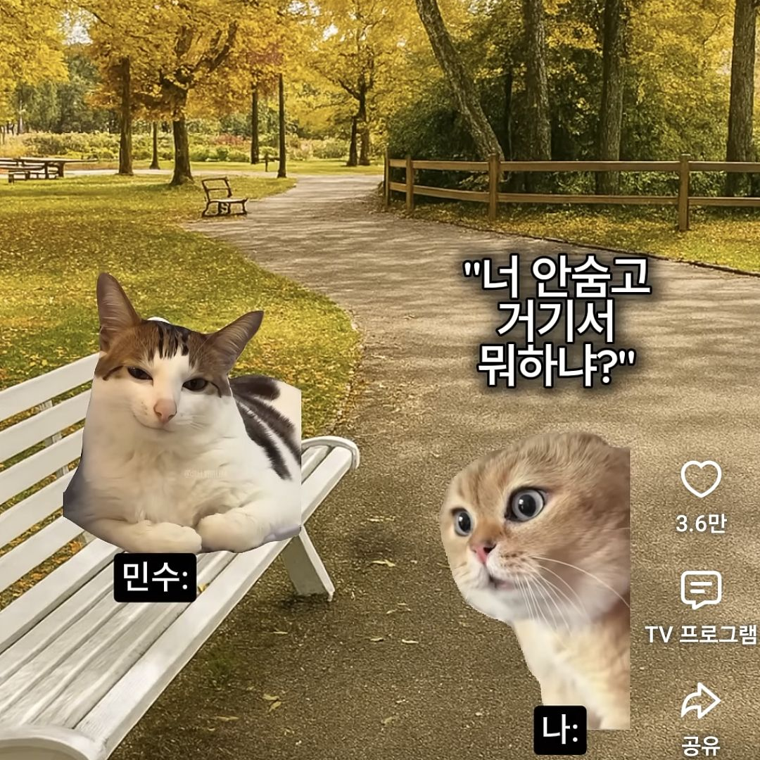 우결유튜버 mt 대표 이미지
