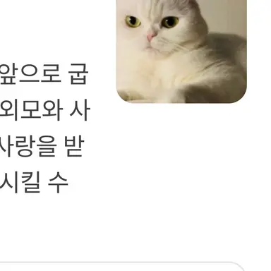 Profile image of 우유