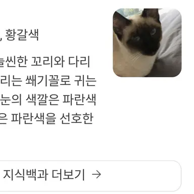 Profile image of 마루
