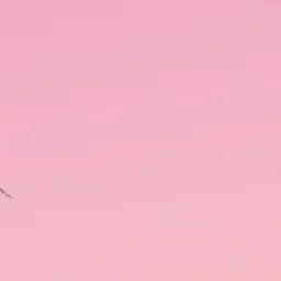 Profile image of 아름