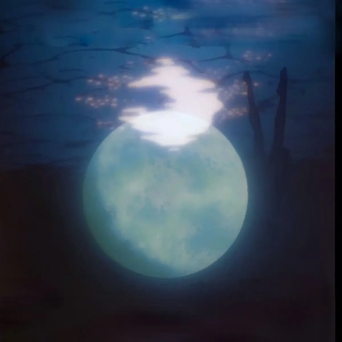 Finalljucie의 정신과