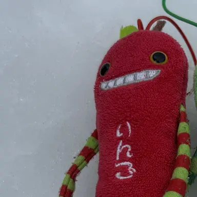 Profile image of りんご