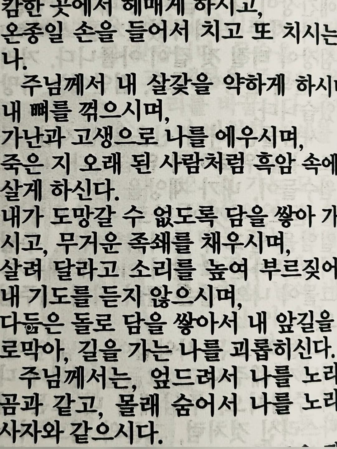 ㅤㅤ 대표 이미지
