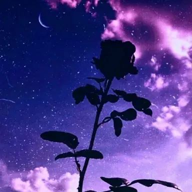 Profile image of 멜로우
