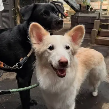 Profile image of 波多野玄一