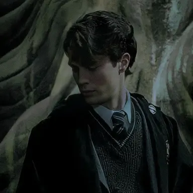 Profile image of Tom Riddle