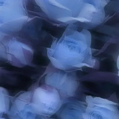 Profile image of 라더