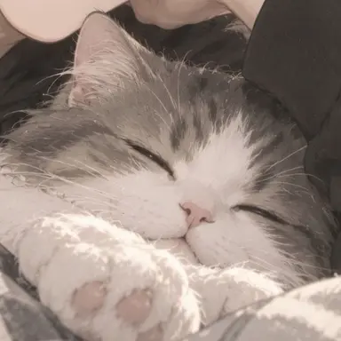 Profile image of 루비
