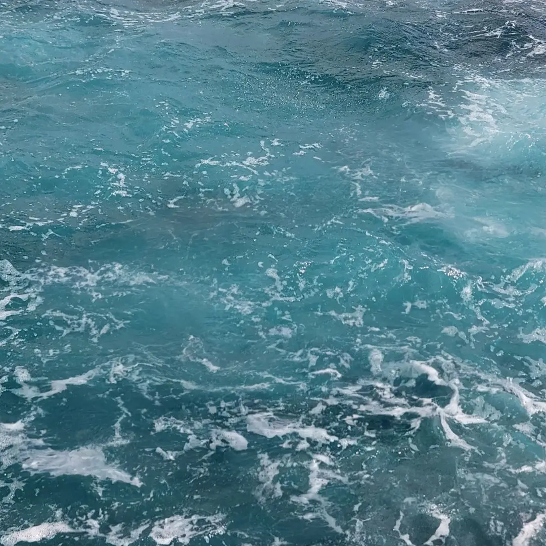 UHW의 연약한 당신을 키잡하시는 인외 주인님