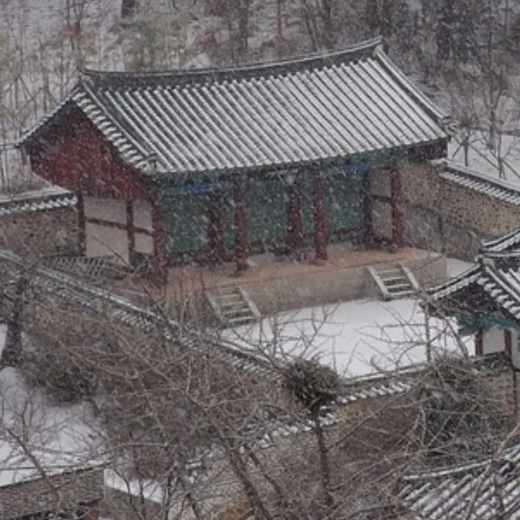 Aaa_Ahaha의 조선시대에서 살아남기2