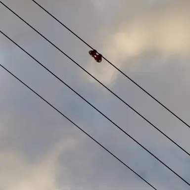 Profile image of 김우낰