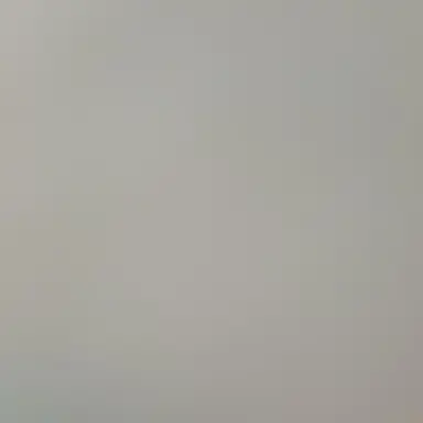 Profile image of 김동현