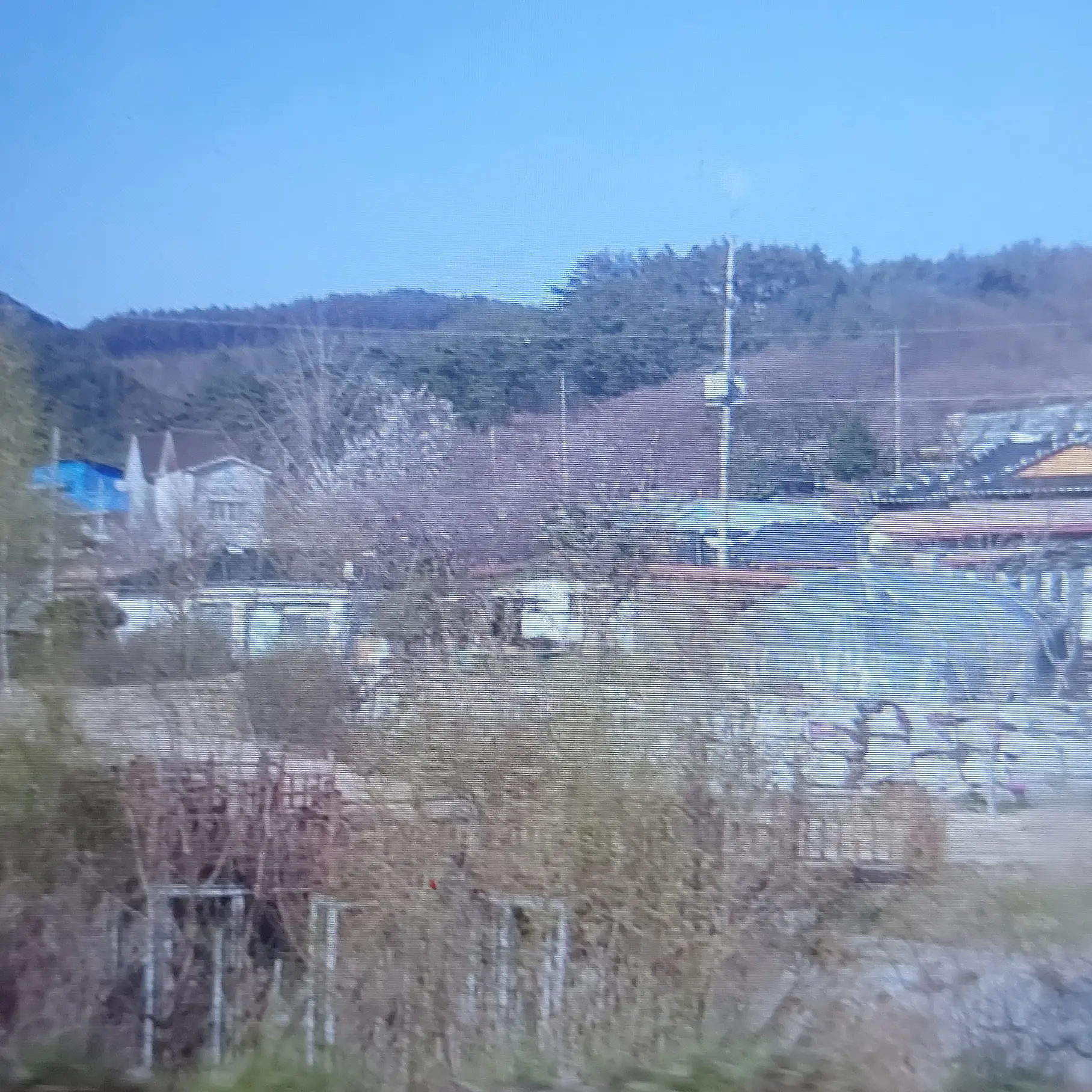 skrrrr_onedoor의 최밤규
