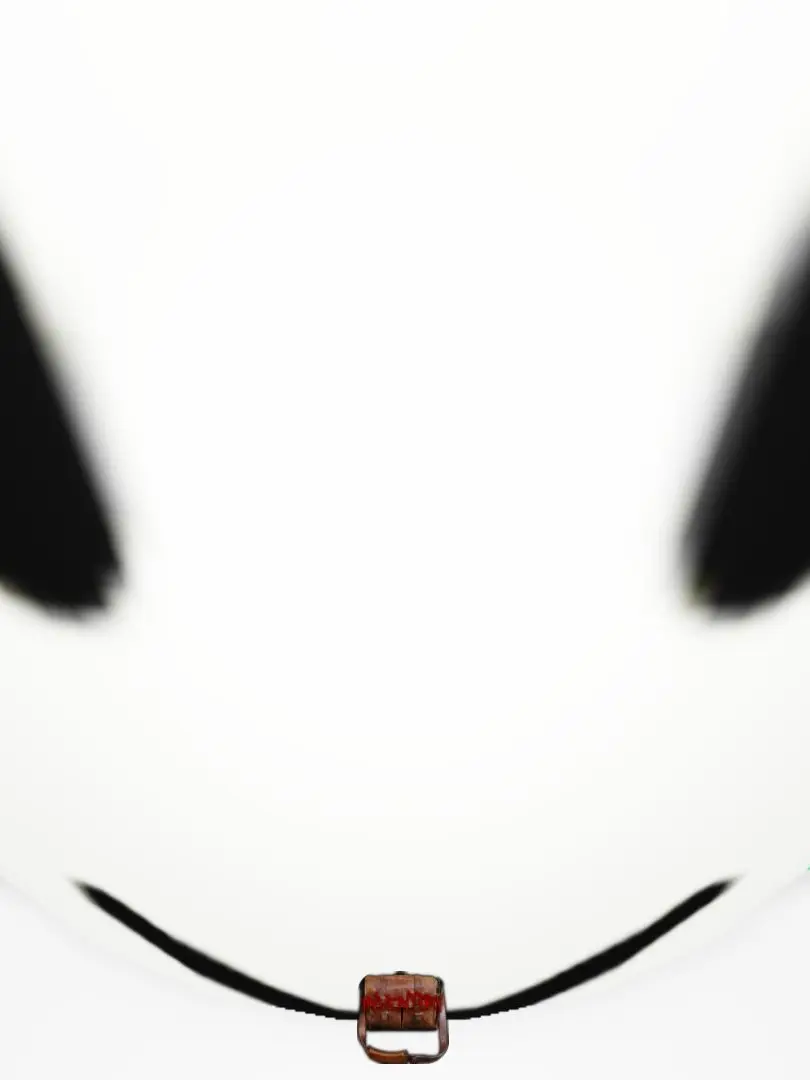 xtsvhvv의 동찾 동거