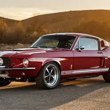 Profile image of 쉘비GT500
