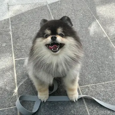 Profile image of 몰리