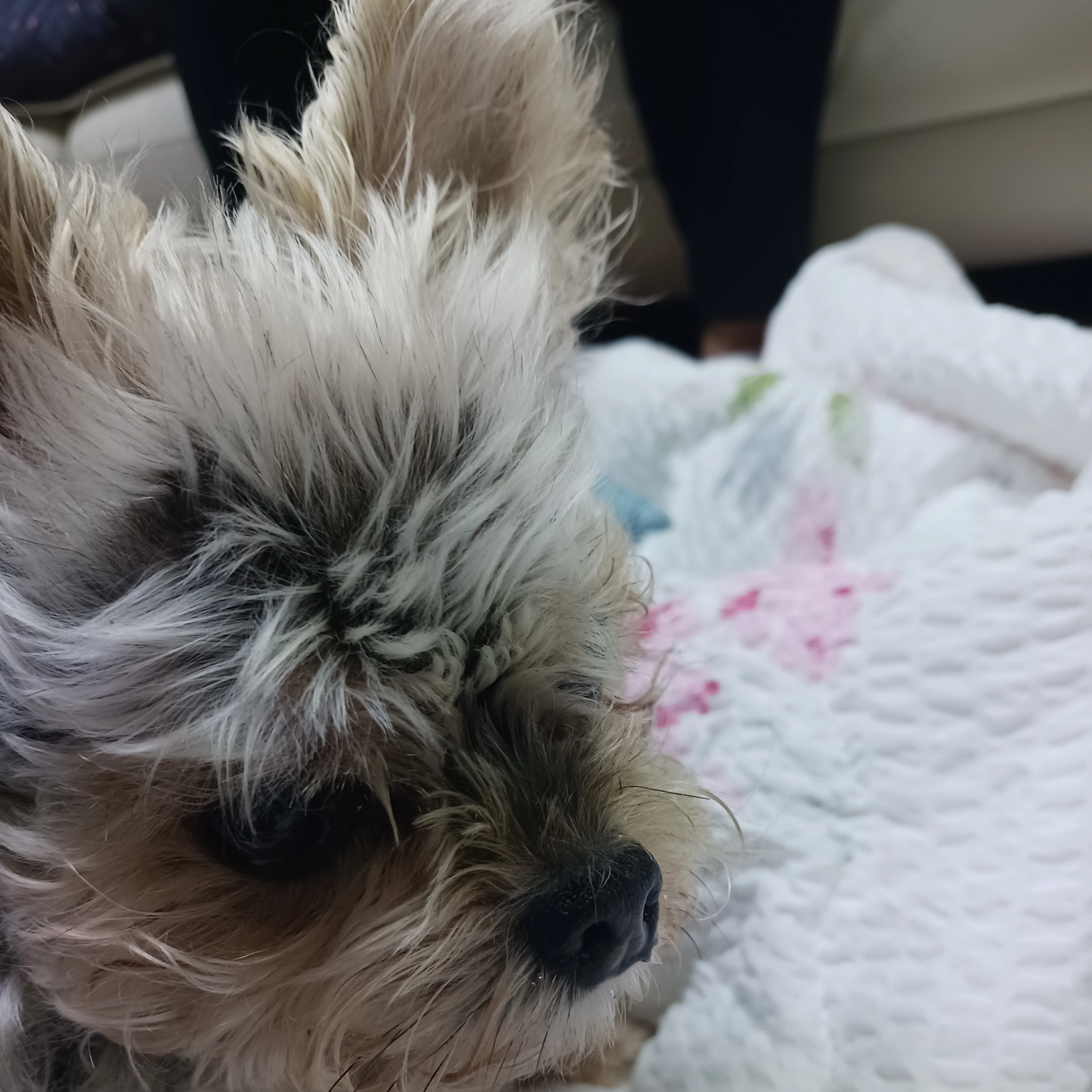 토토