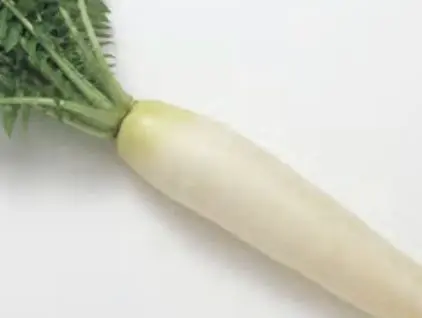 Profile image of ルーカス