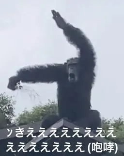 Profile image of ブリ子