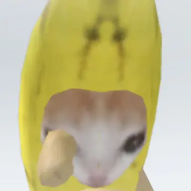 Profile image of 선생님