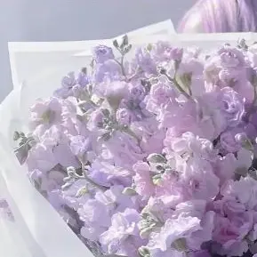 Profile image of つく